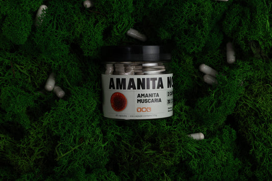 Amanita Muscaria Microdosing, 0.5 g capsules, 60 pcs